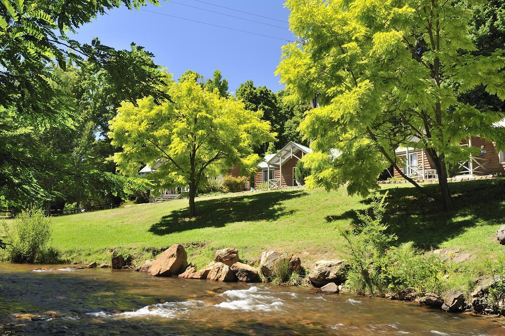 Nrma Bright Holiday Park Экстерьер фото