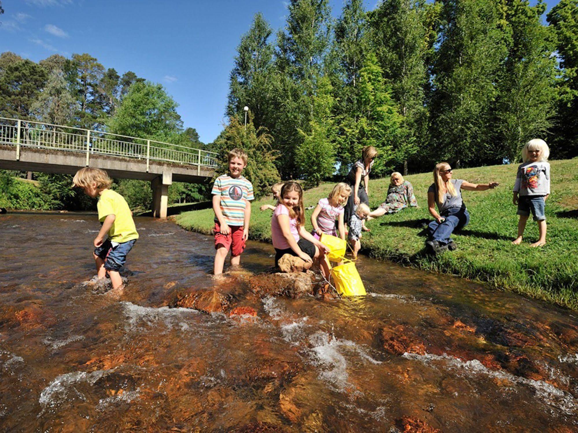 Nrma Bright Holiday Park Экстерьер фото